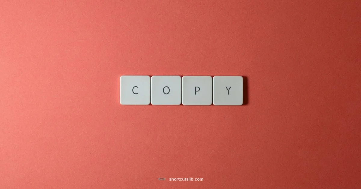 Copy Shortcuts Copy Shortcuts - Shortcuts Lib