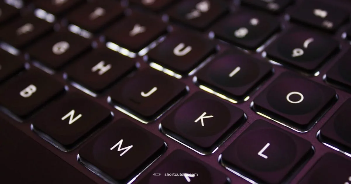 Undo in Selections - Shortcuts Lib