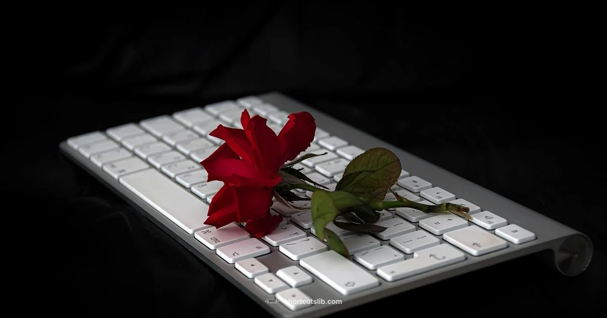 Heart Shortcut Guide Heart Shortcut Guide - Shortcuts Lib