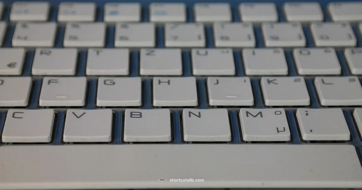 Accented E Guide - Shortcuts Lib