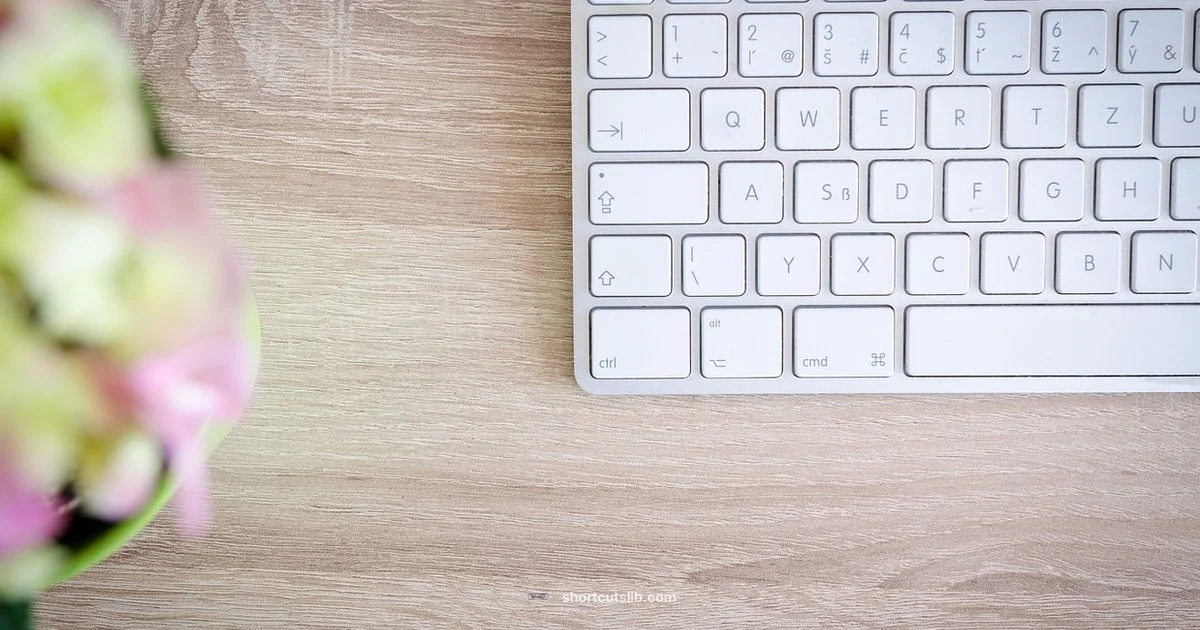 Undo Essentials - Shortcuts Lib