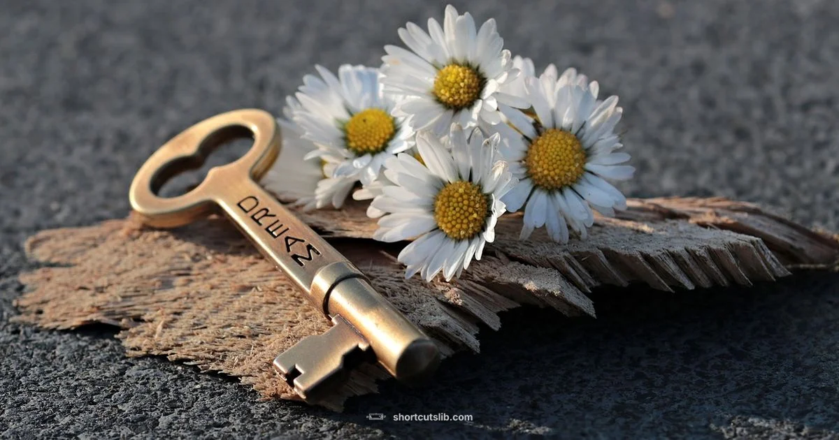 Windows Symbol Shortcuts - Shortcuts Lib