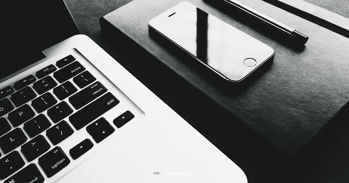 Select All Shortcut - Shortcuts Lib