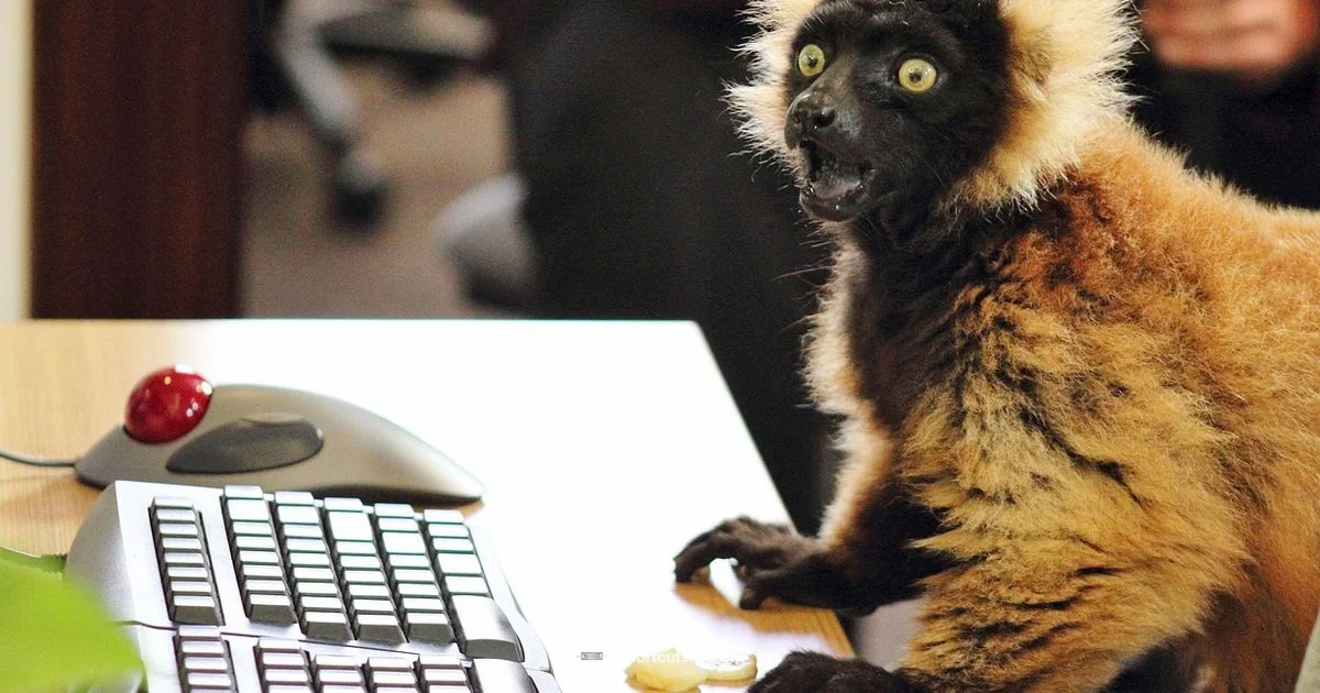 Type '>' Fast Type '>' Fast - Shortcuts Lib