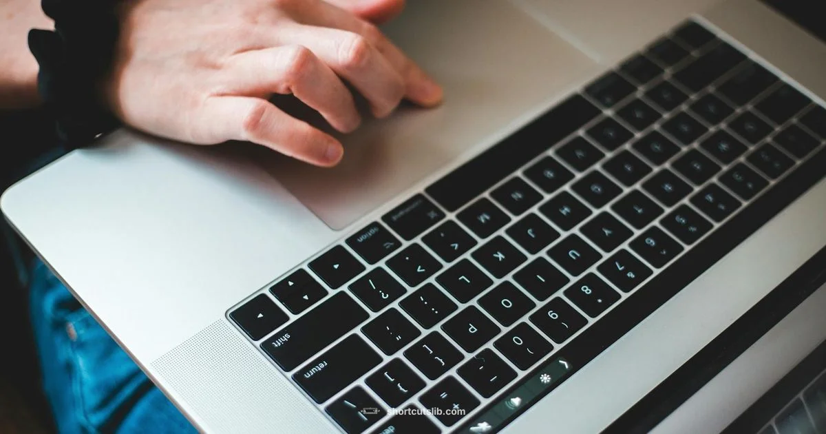 Undo Keyboard Shortcut - Shortcuts Lib