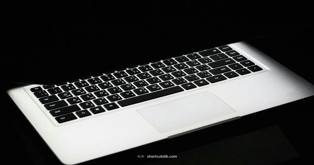 Brightness Keys - Shortcuts Lib