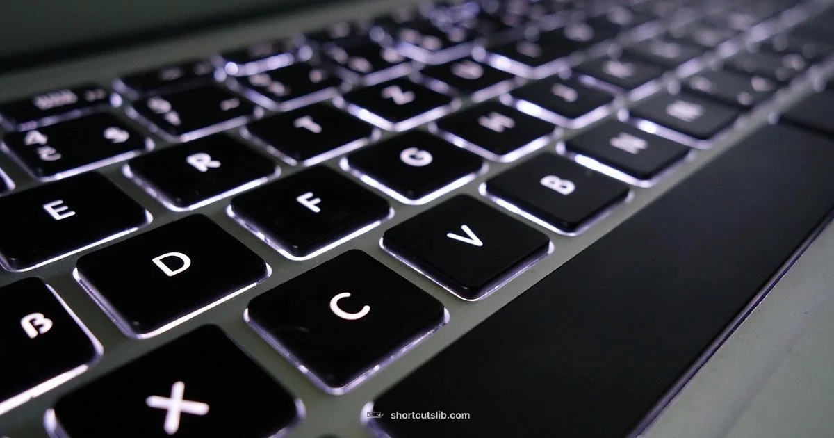 Keyboard Shortcuts on Laptop - Shortcuts Lib