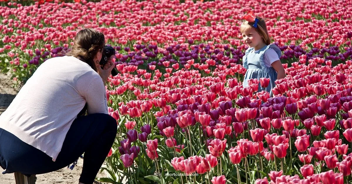 Capture Windows Screen Capture Windows Screen - Shortcuts Lib