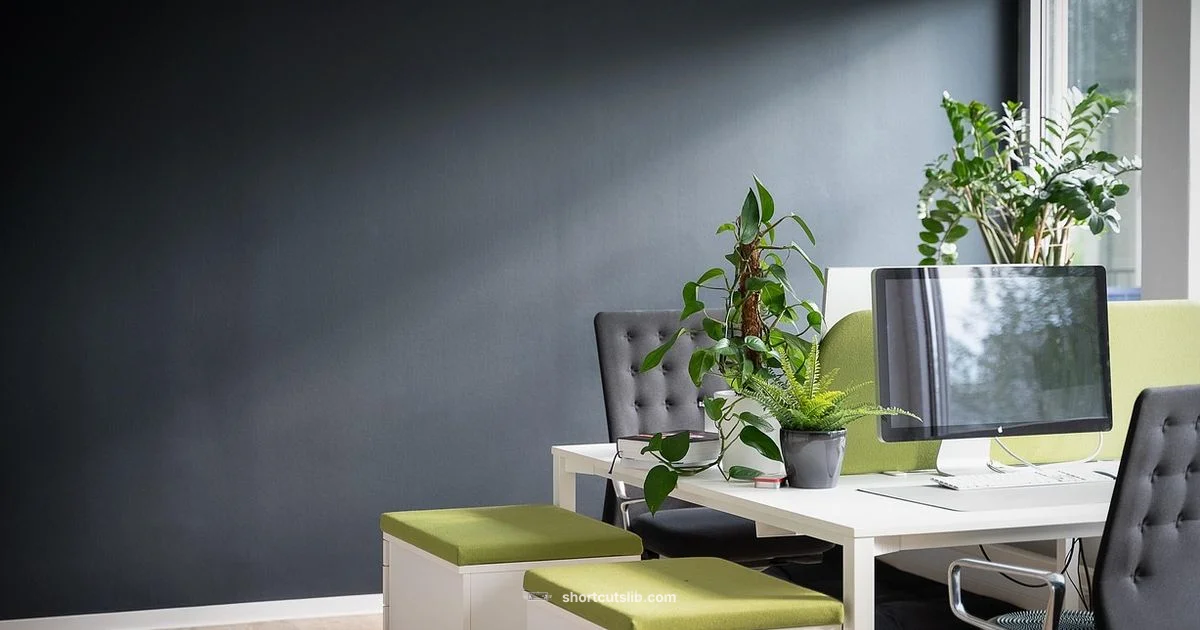 Search Shortcuts Essentials - Shortcuts Lib