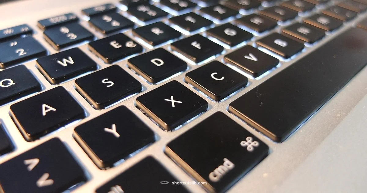 En Dash on Mac - Shortcuts Lib