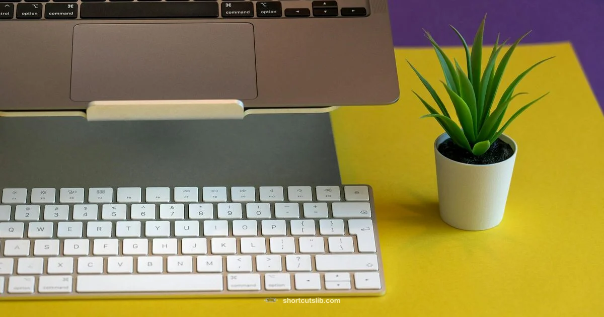 Open Terminal Fast - Shortcuts Lib