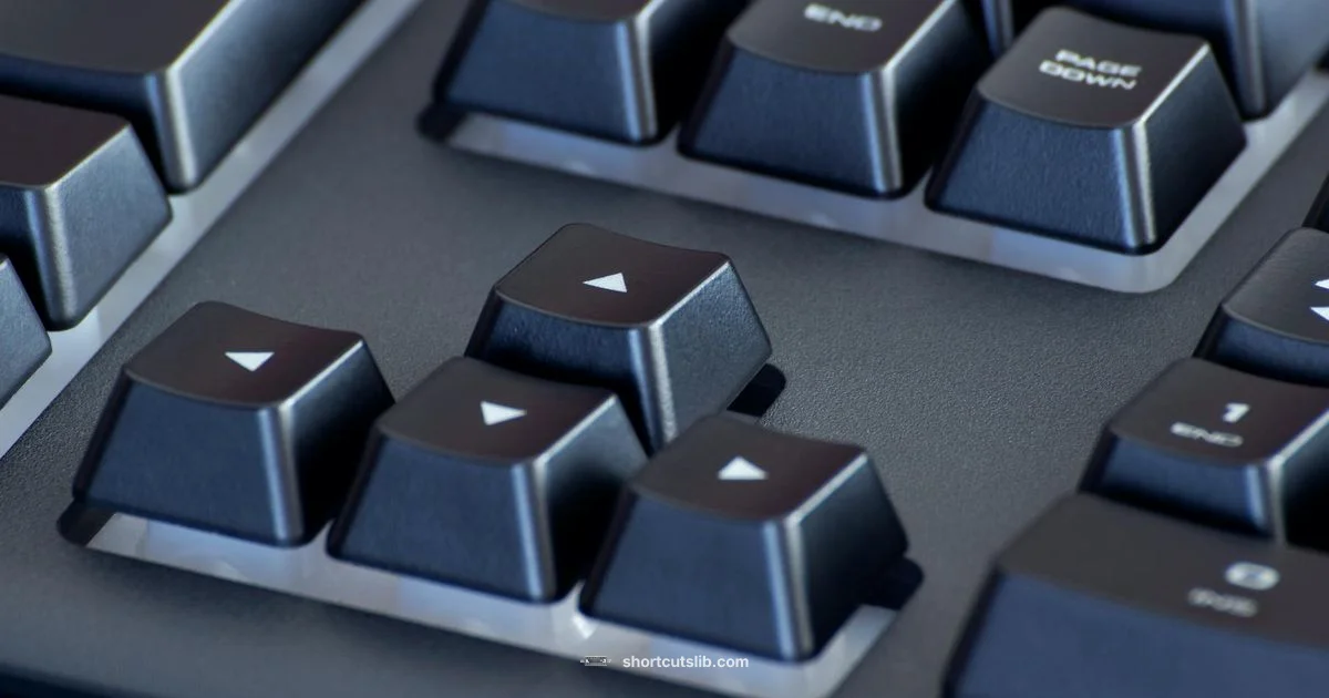 Undo Quick Reference Undo Quick Reference - Shortcuts Lib