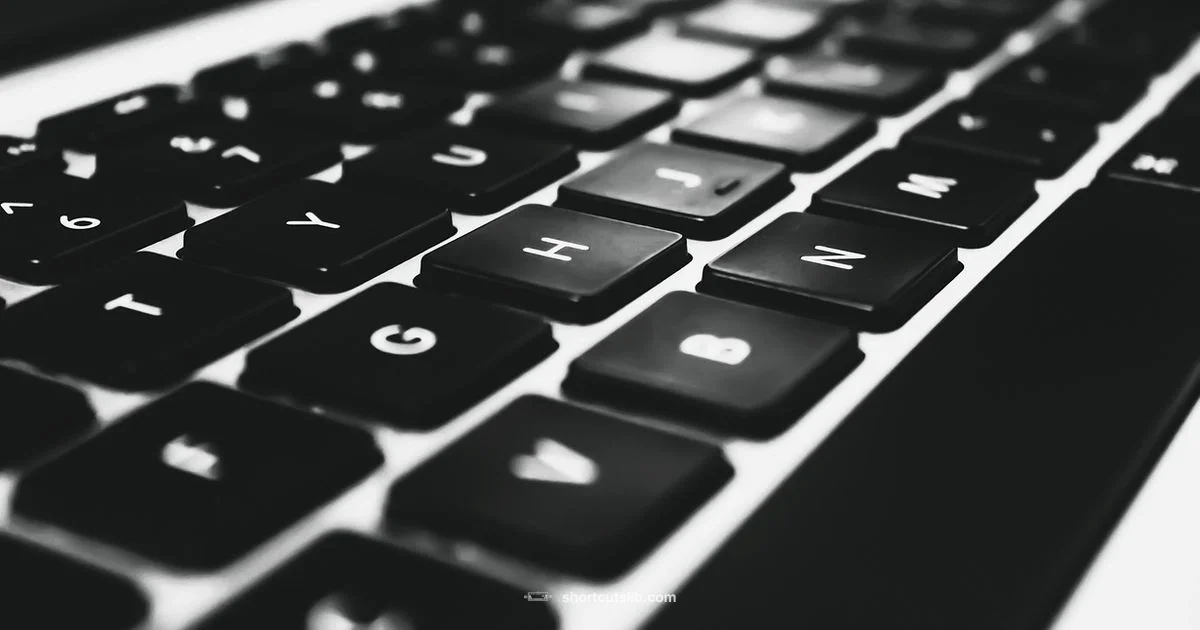 Fix Keyboard Shortcuts - Shortcuts Lib