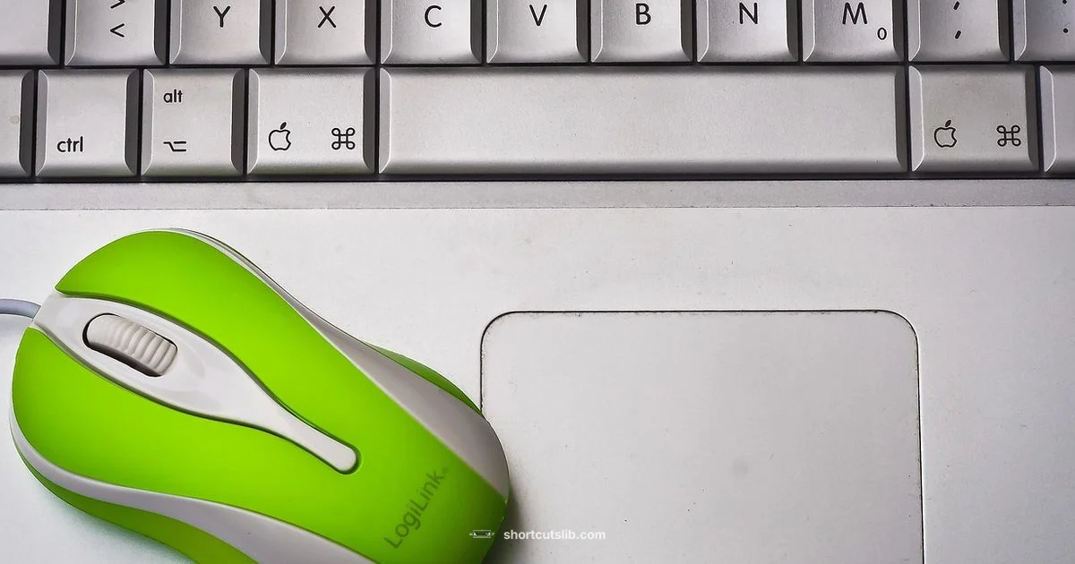 Copy All Shortcuts - Shortcuts Lib