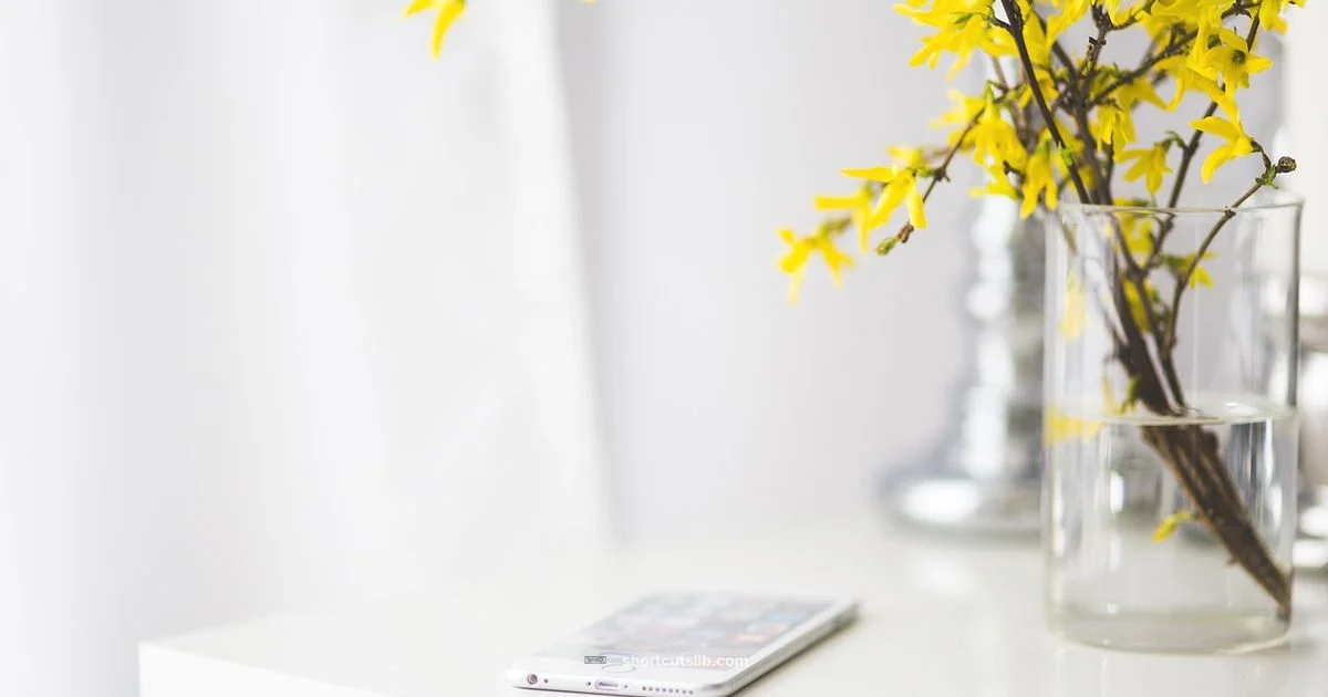 iPhone Shortcuts Guide - Shortcuts Lib