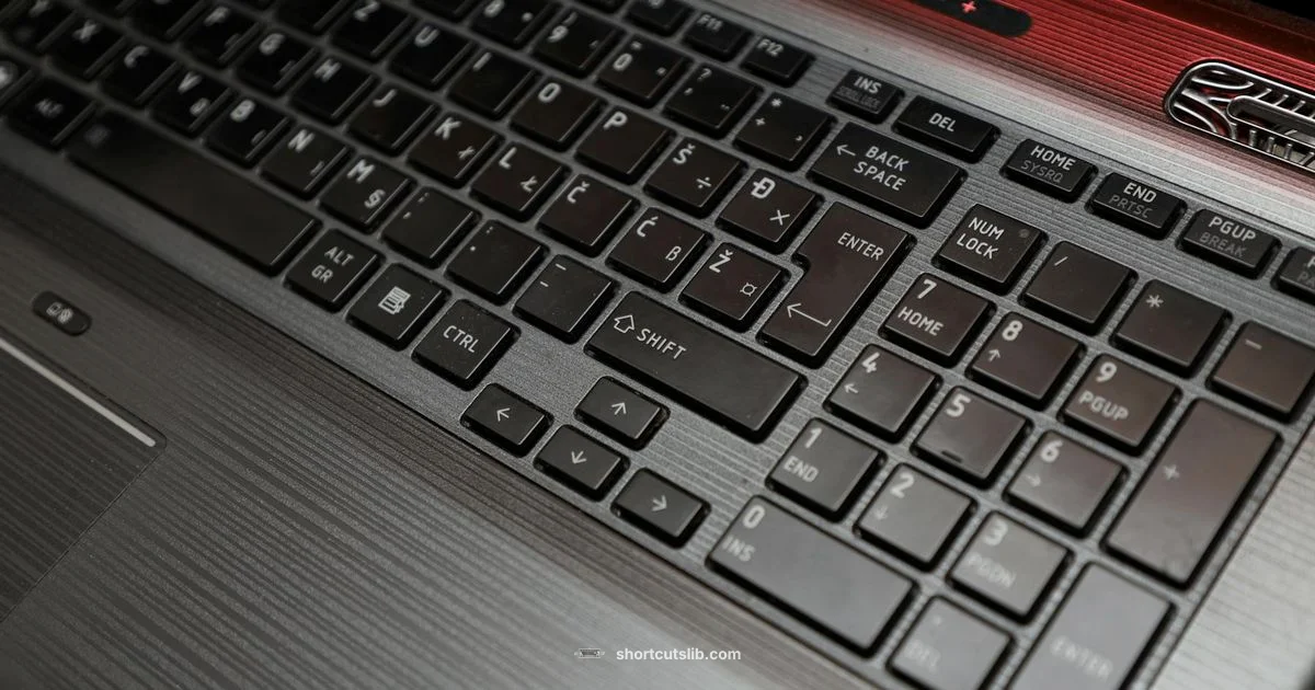 Down Arrow on Mac - Shortcuts Lib