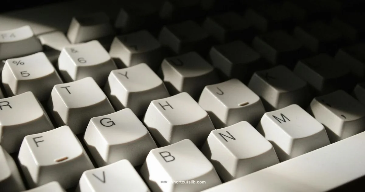 Zoom Shortcuts - Shortcuts Lib