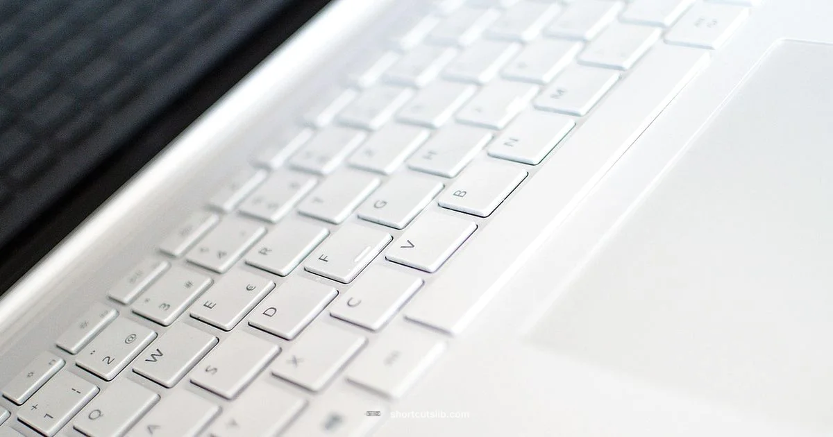 Touchpad Toggle Quick Guide Touchpad Toggle Quick Guide - Shortcuts Lib