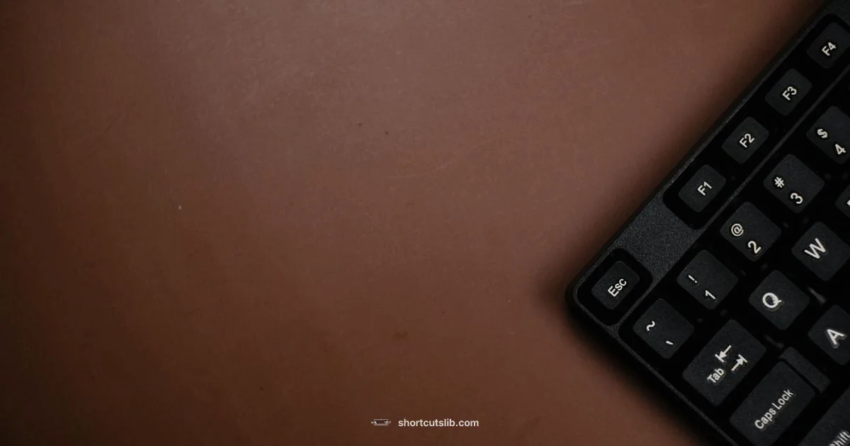 Copy with Keyboard Copy with Keyboard - Shortcuts Lib
