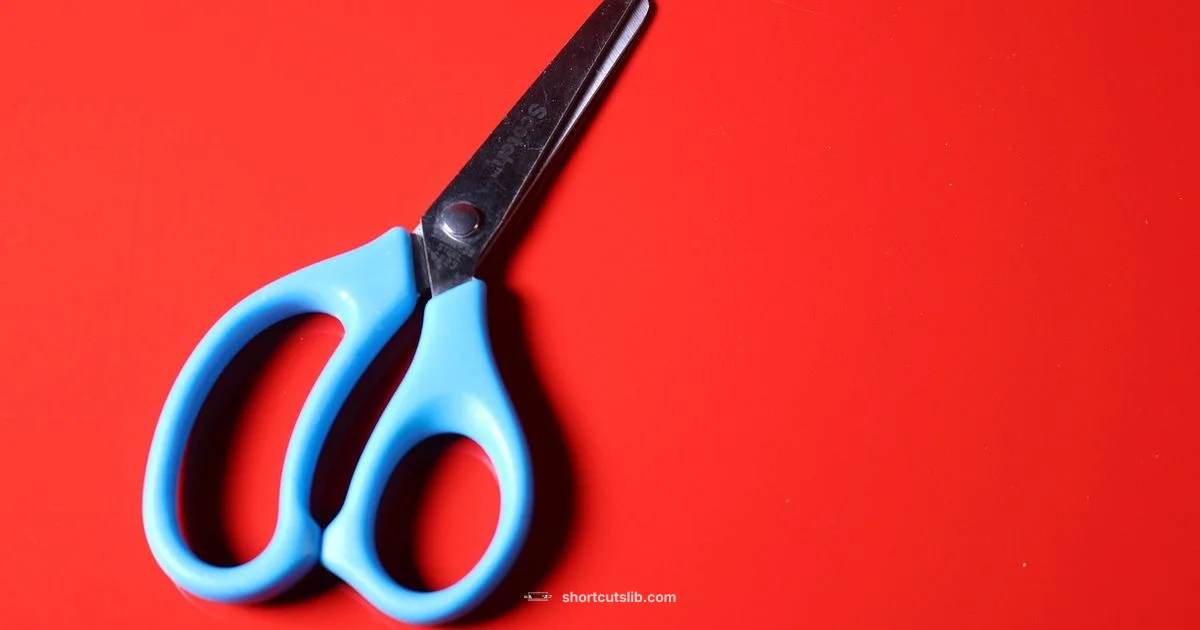 Snip Shortcut Primer Snip Shortcut Primer - Shortcuts Lib