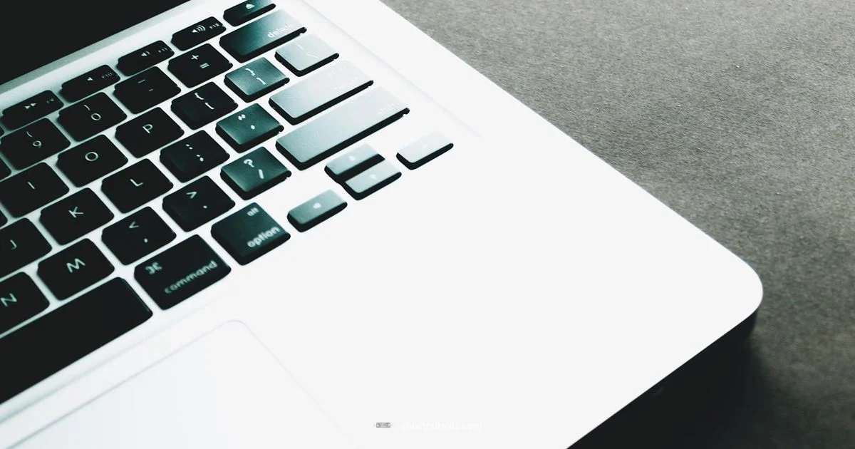 Mac Paste Shortcut - Shortcuts Lib