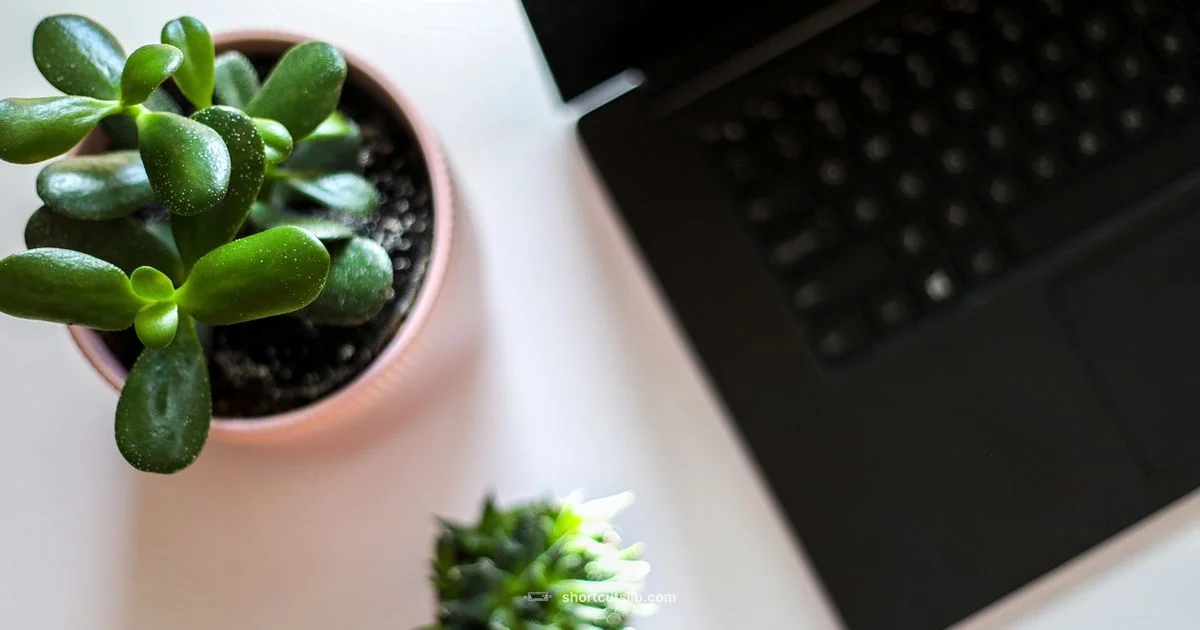 Custom Keyboard Shortcuts - Shortcuts Lib