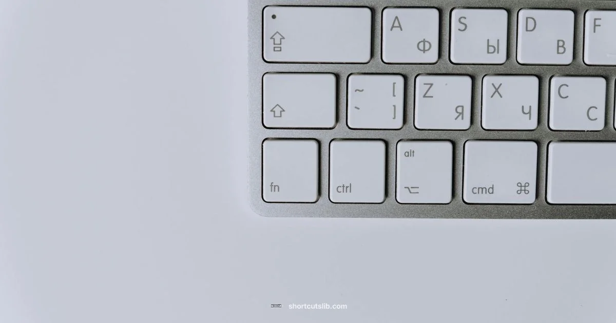 Italic Shortcuts Guide - Shortcuts Lib