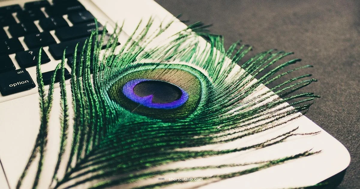 Shortcut Vanish Shortcut Vanish - Shortcuts Lib