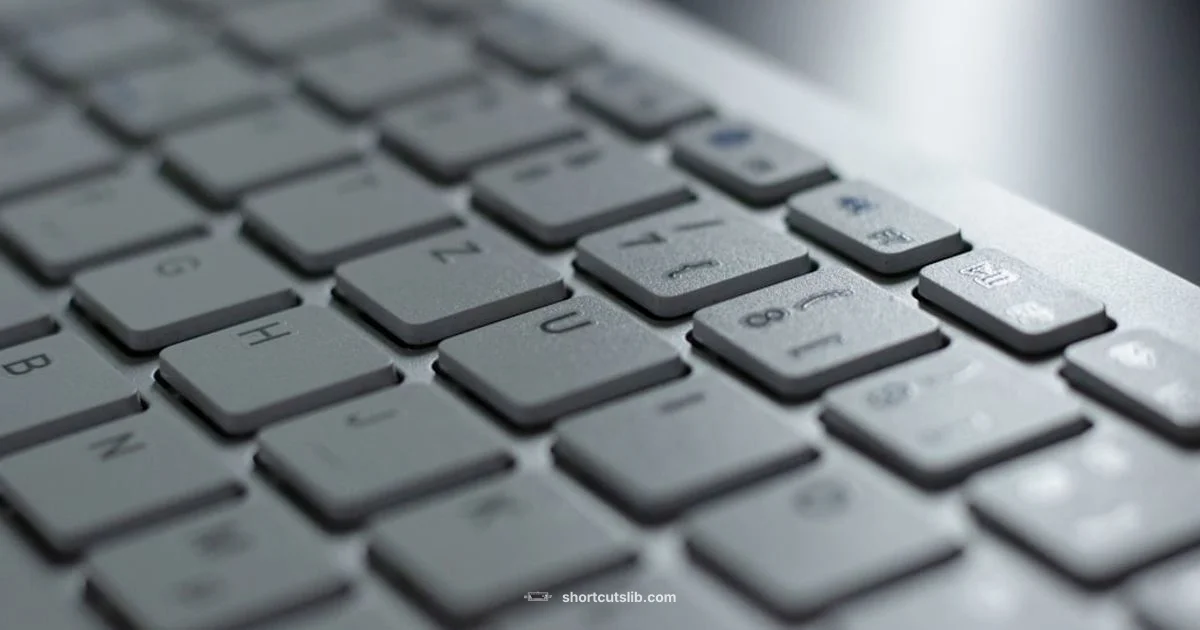 Fraction Shortcut Guide - Shortcuts Lib