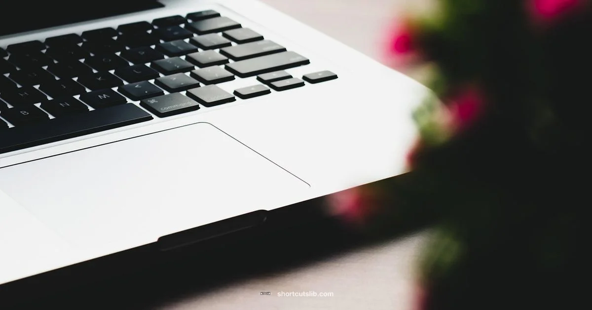 Shortcut Mastery Shortcut Mastery - Shortcuts Lib