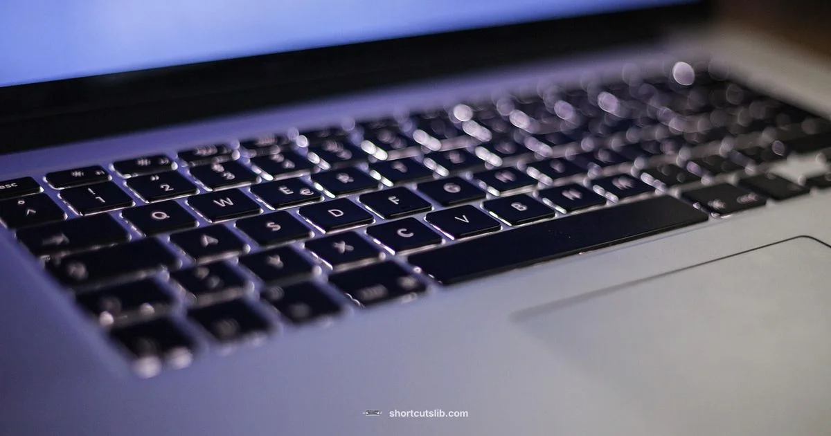 Word Highlight Shortcuts - Shortcuts Lib