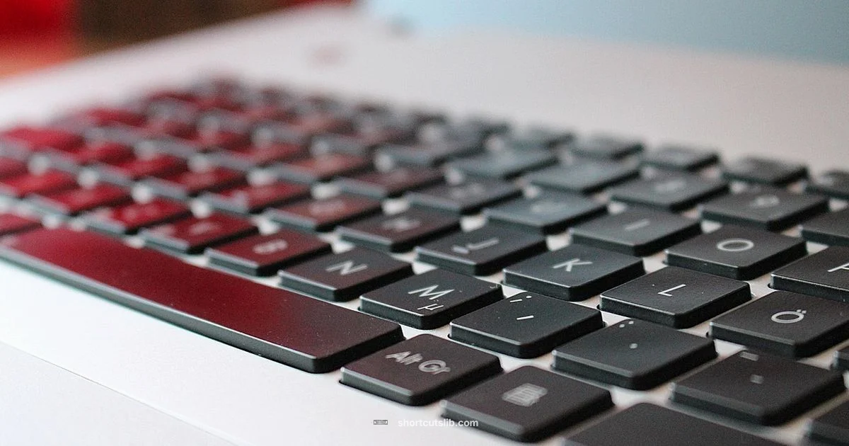 Fn Key Fix - Shortcuts Lib