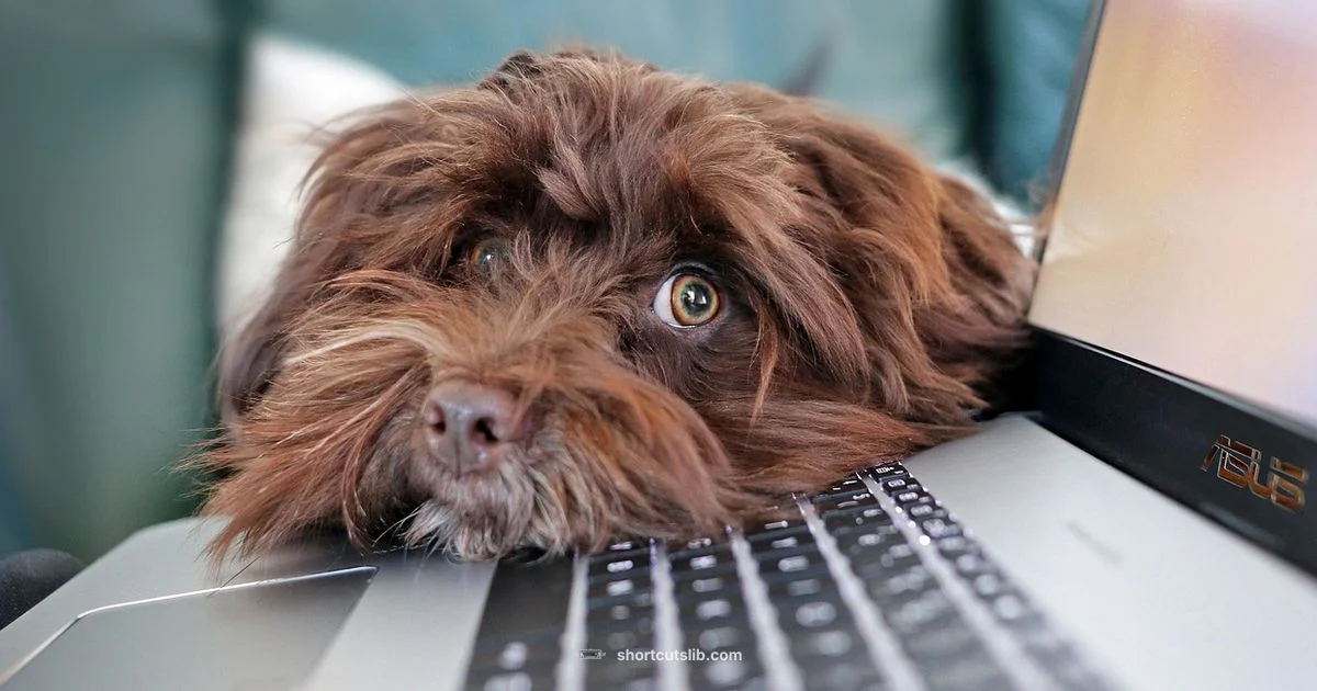 Keyboard Shortcuts 101 - Shortcuts Lib