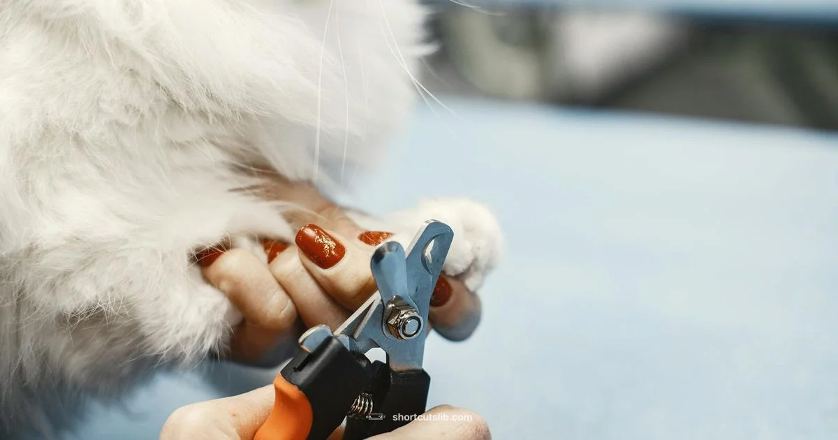 Snip Shortcuts - Shortcuts Lib