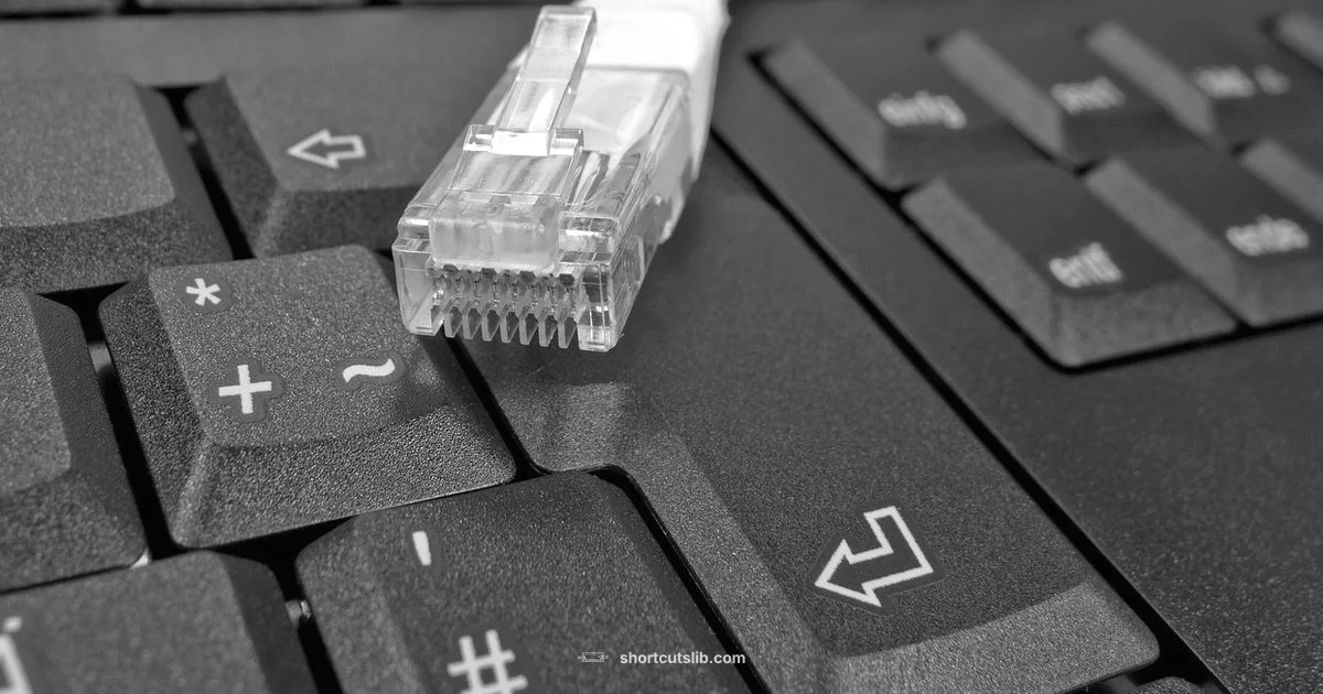 Mac Window Shortcuts Mac Window Shortcuts - Shortcuts Lib