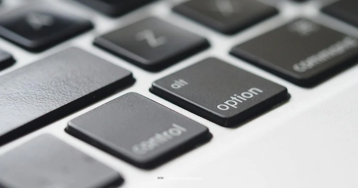 Ctrl D Guide - Shortcuts Lib