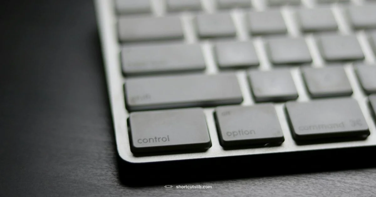 Master mac commands Master mac commands - Shortcuts Lib